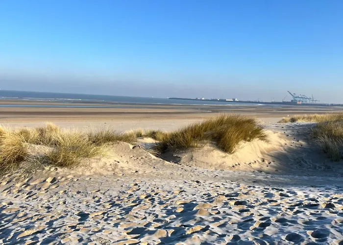 Dune Du Clémot