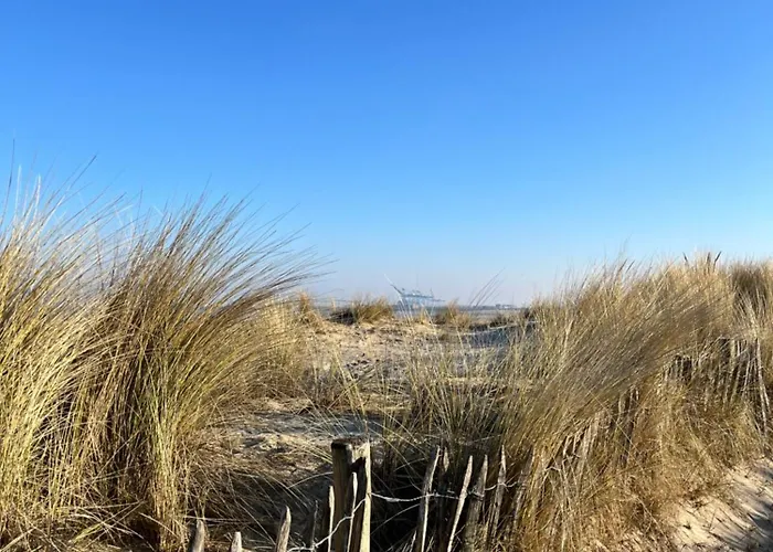 Dune Du Clémot