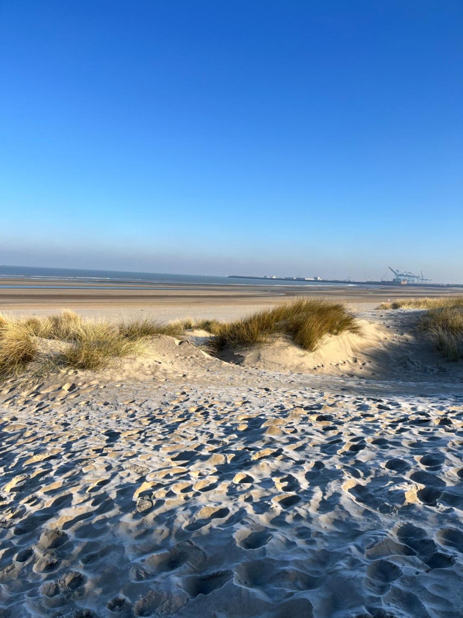 Dune Du Clémot Appartement Blankenberge