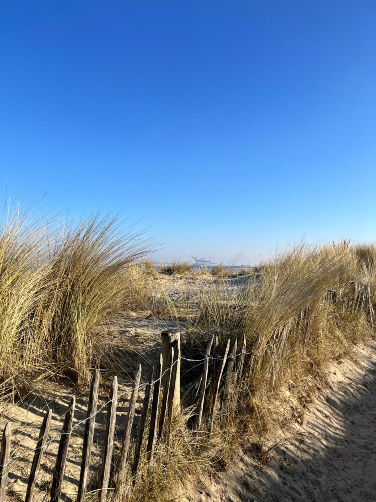 Dune Du Clémot * Blankenberge
